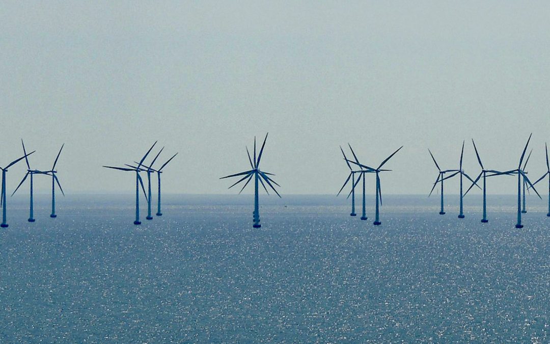 Welchen Einfluss haben Offshore-Windparks auf die Meeresumwelt?