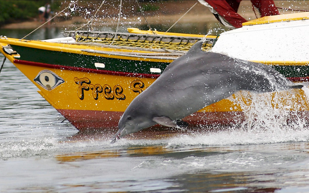 Projektreport Winter 2020 – Delfin-Oma „Zipper“ schaut vorbei