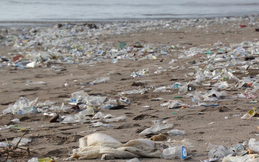 Plastikkrise: Uns droht die „Plastifizierung“ der Weltmeere