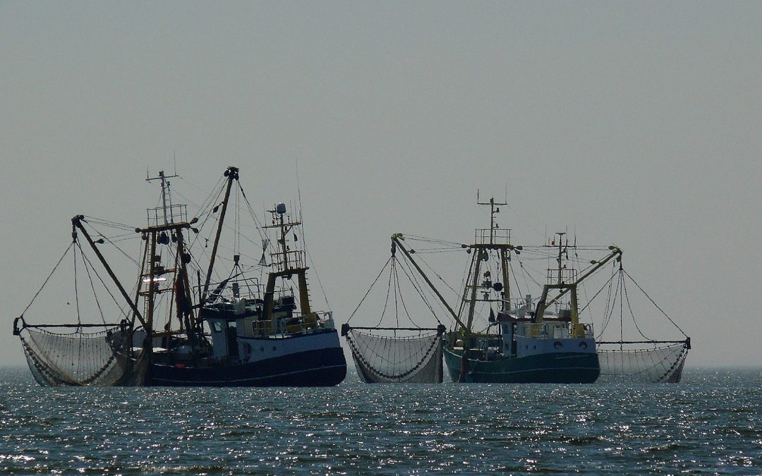 Teufelskreis der subventionierten Überfischung existiert vorerst weiter