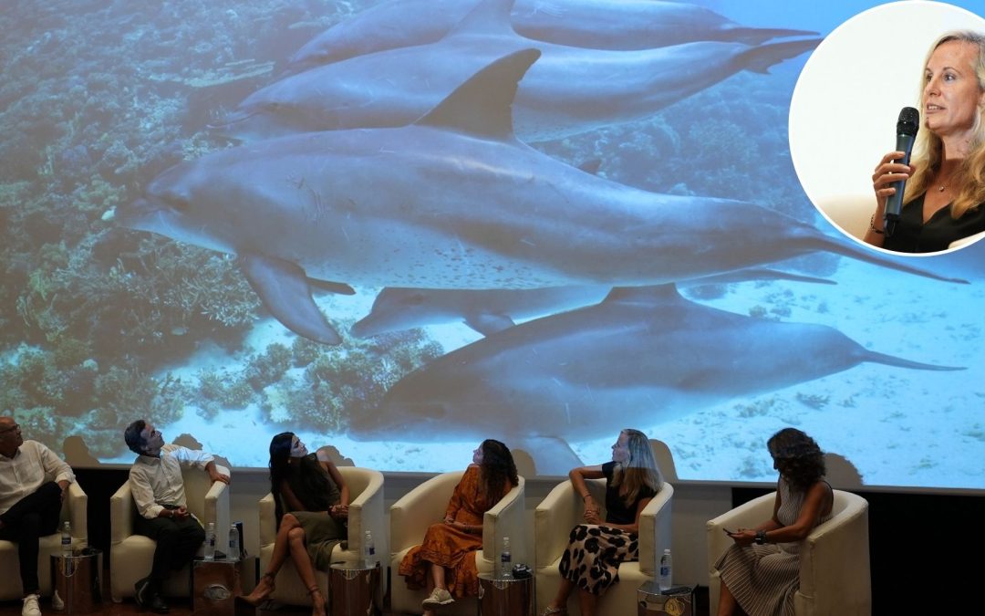 Rotes Meer: Delfinschutz auf dem El Gouna Filmfestival