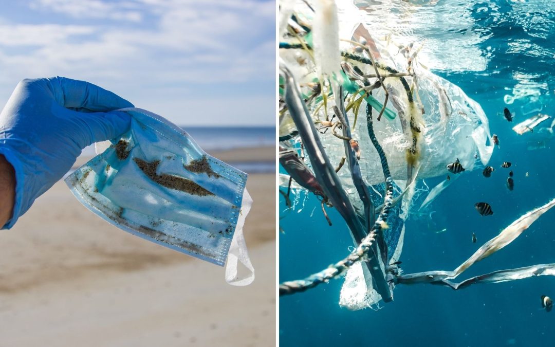 Deutlich mehr Plastikmüll: Corona belastet die Meere zusätzlich